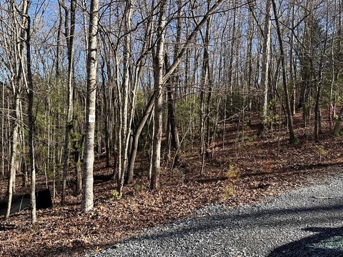 LAND - Morganton, GA