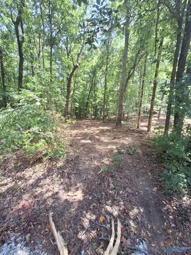 Land, Gurley, AL
