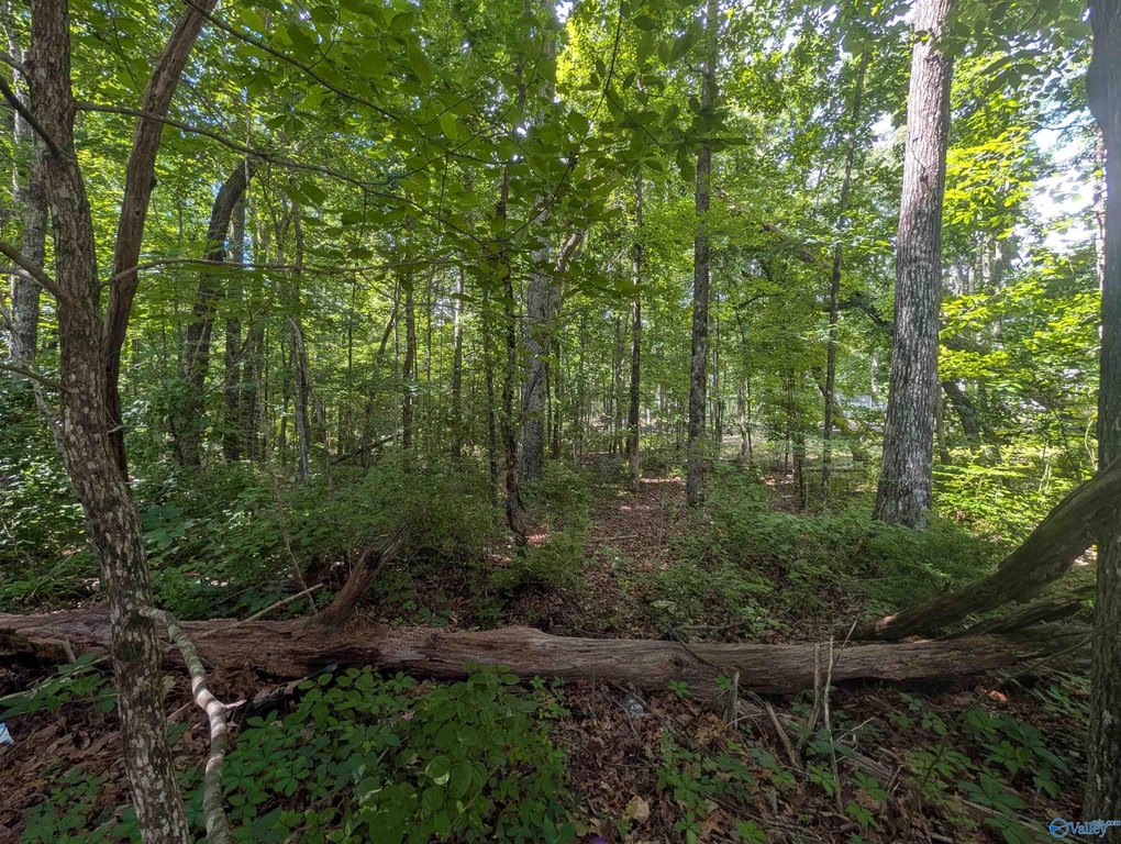 Picture 4