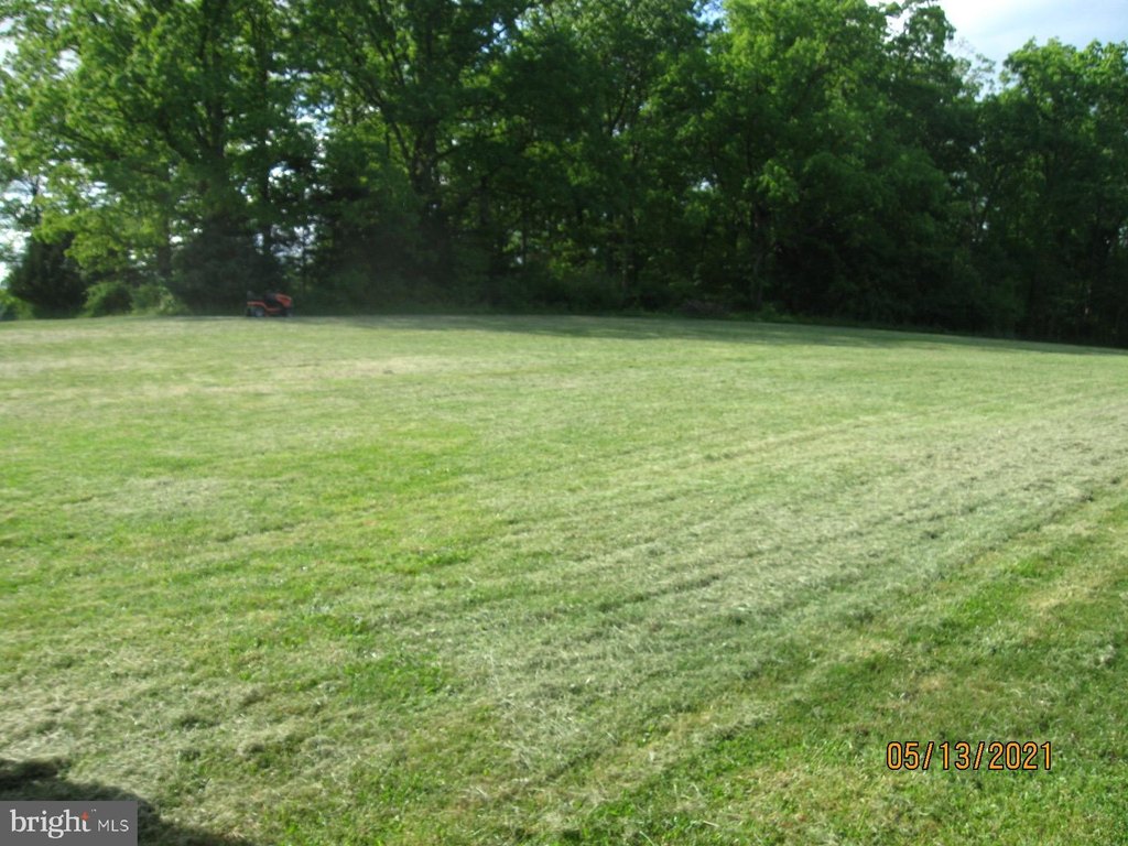Picture 15