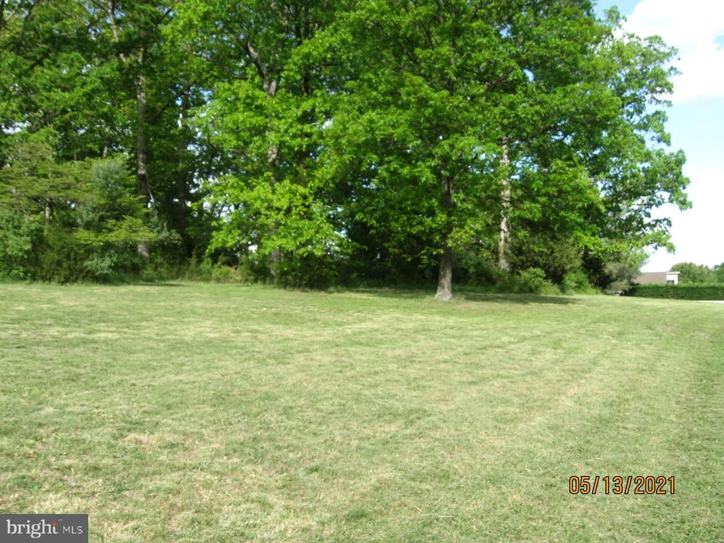 Picture 18