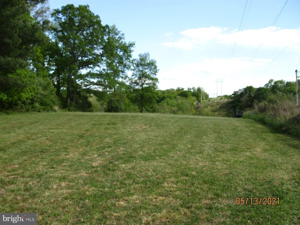 Picture 21