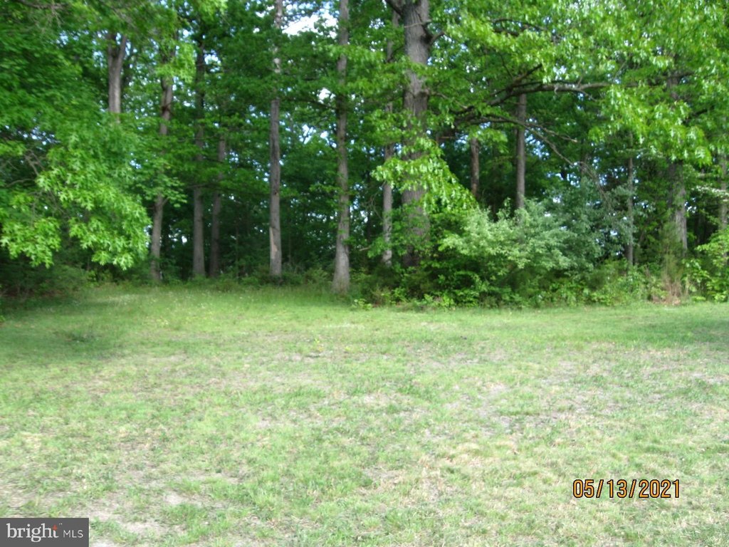 Picture 22