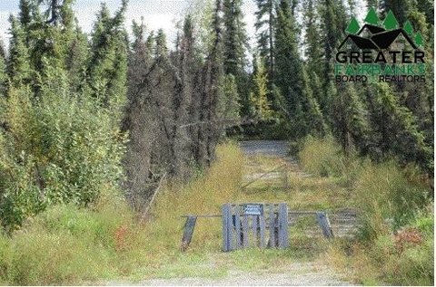 Vacant Land Near Fairbanks