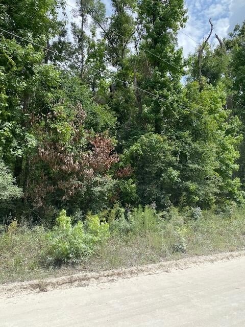 Picture 4