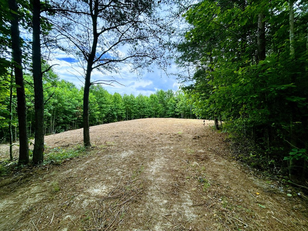 Picture 3