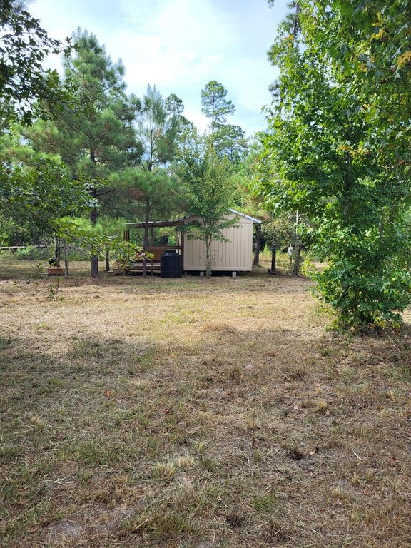 Picture 14