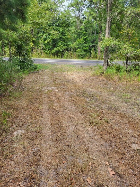 Picture 10