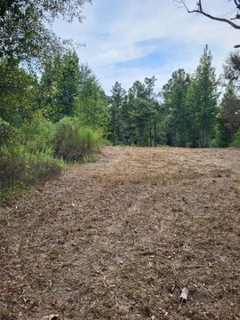 Land, Bronson, TX