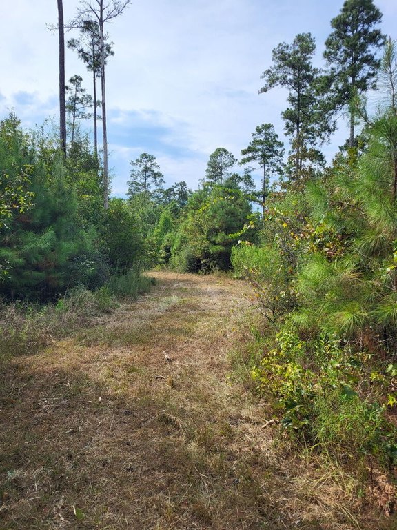 Picture 6