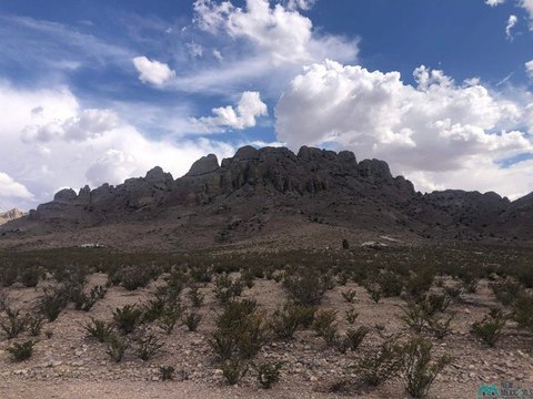Land, Deming, NM