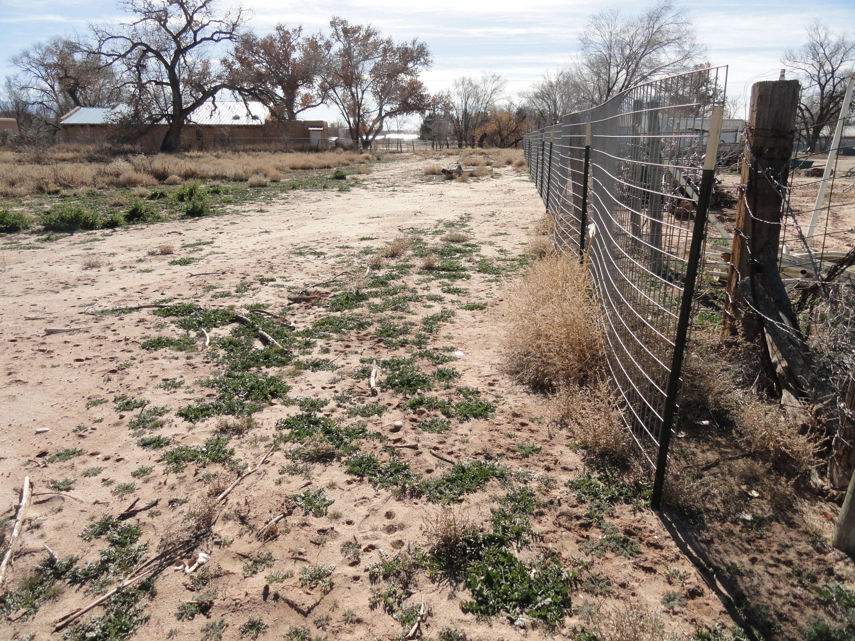 Land For Sale, Peralta, NM