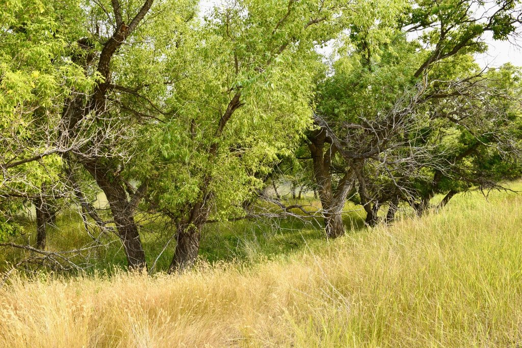 Picture 19
