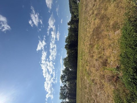 LAND - South Shore, KY