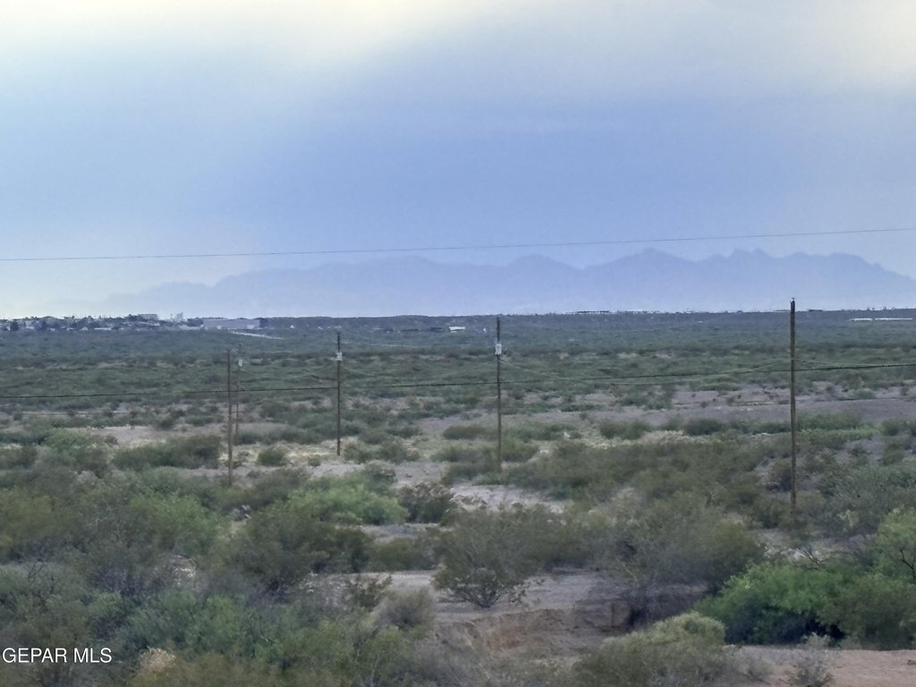 Picture 6