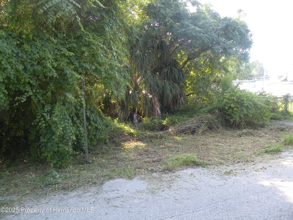 Picture 3