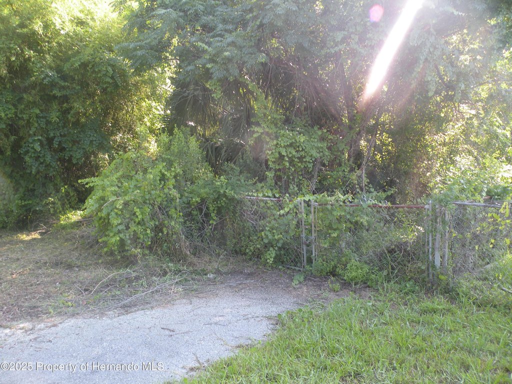 Picture 2