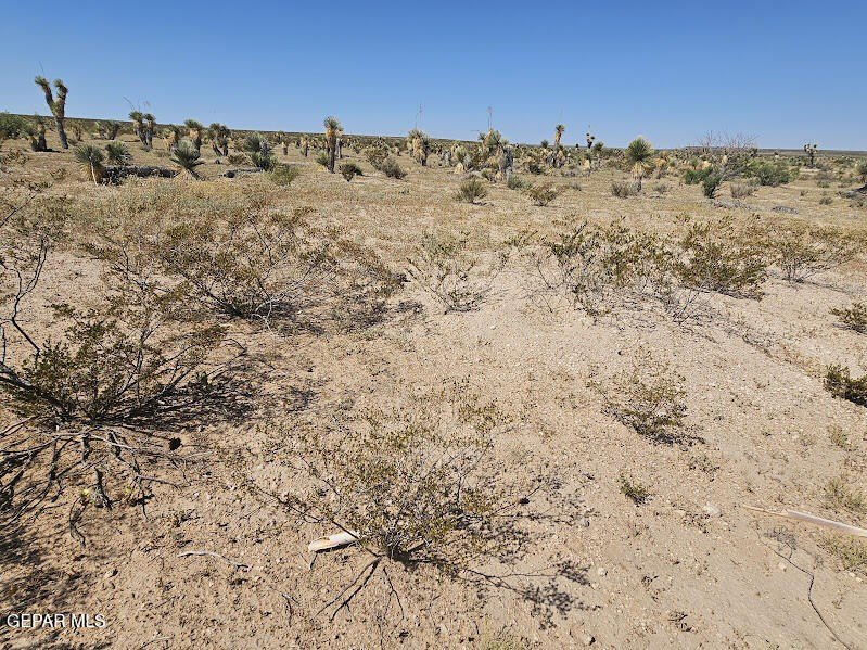 Sierra Blanca Raw Land