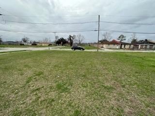 Picture 5