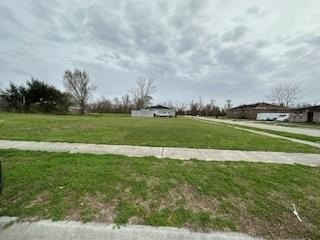Picture 10