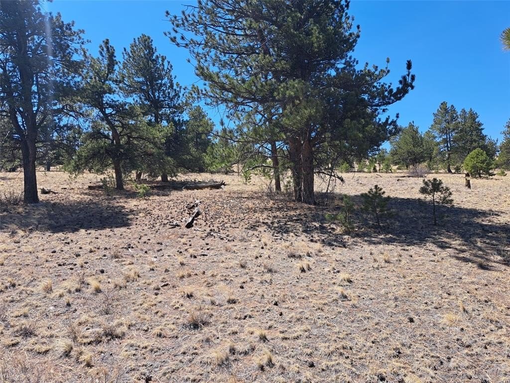 Picture 19