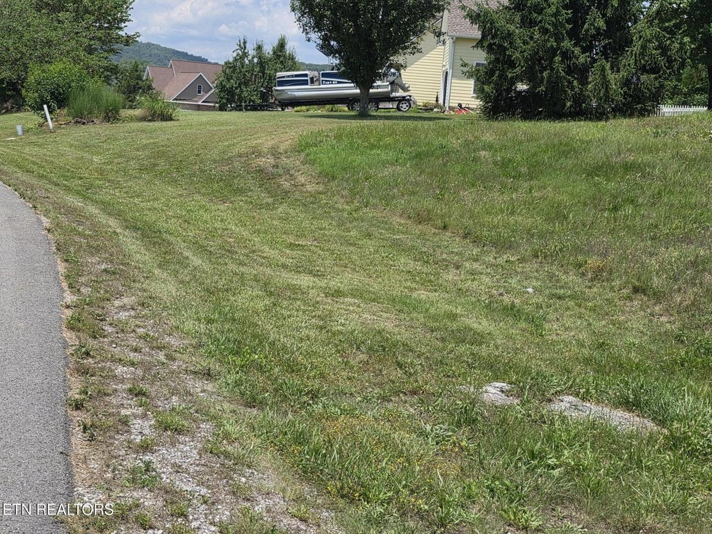 Picture 18