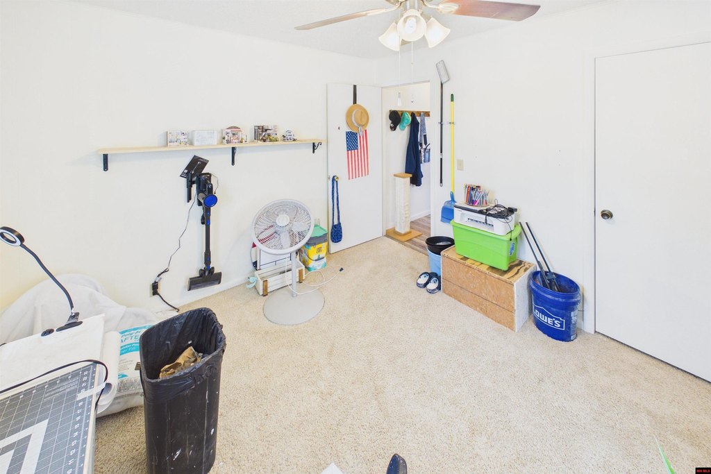 Picture 14