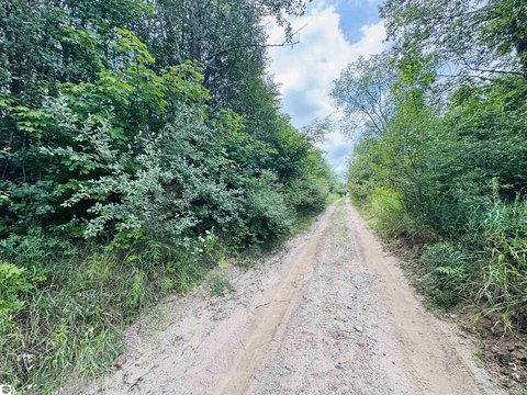 LAND - Manton, MI