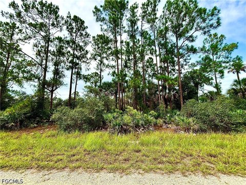 LAND - Alva, FL