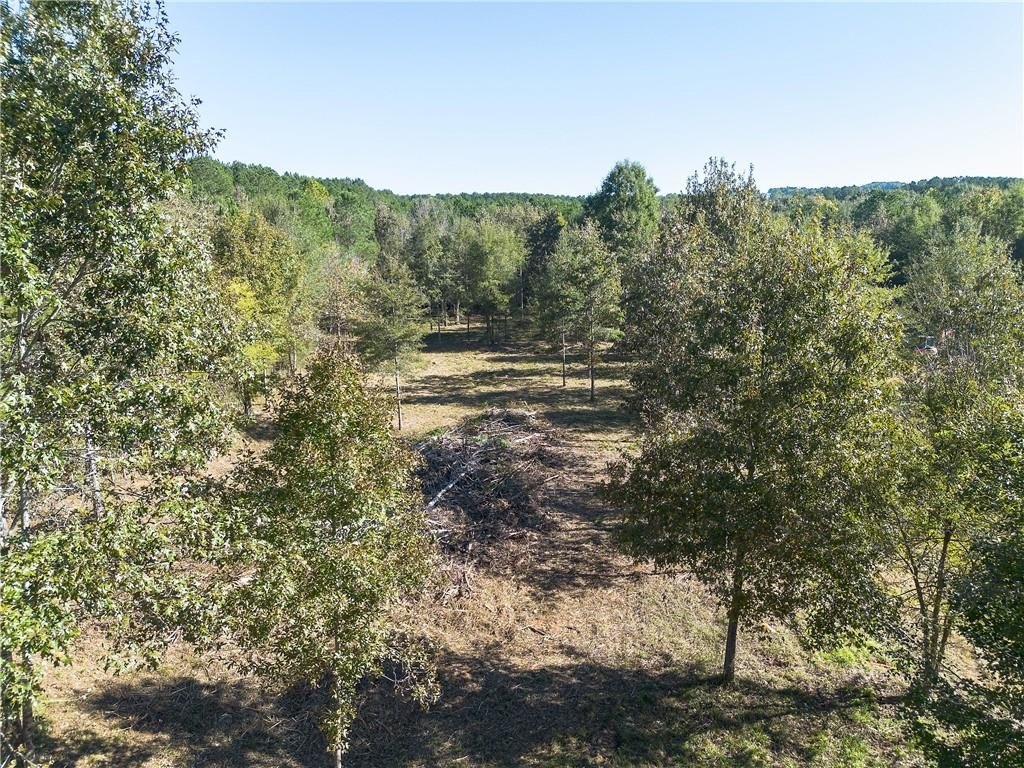 Picture 3