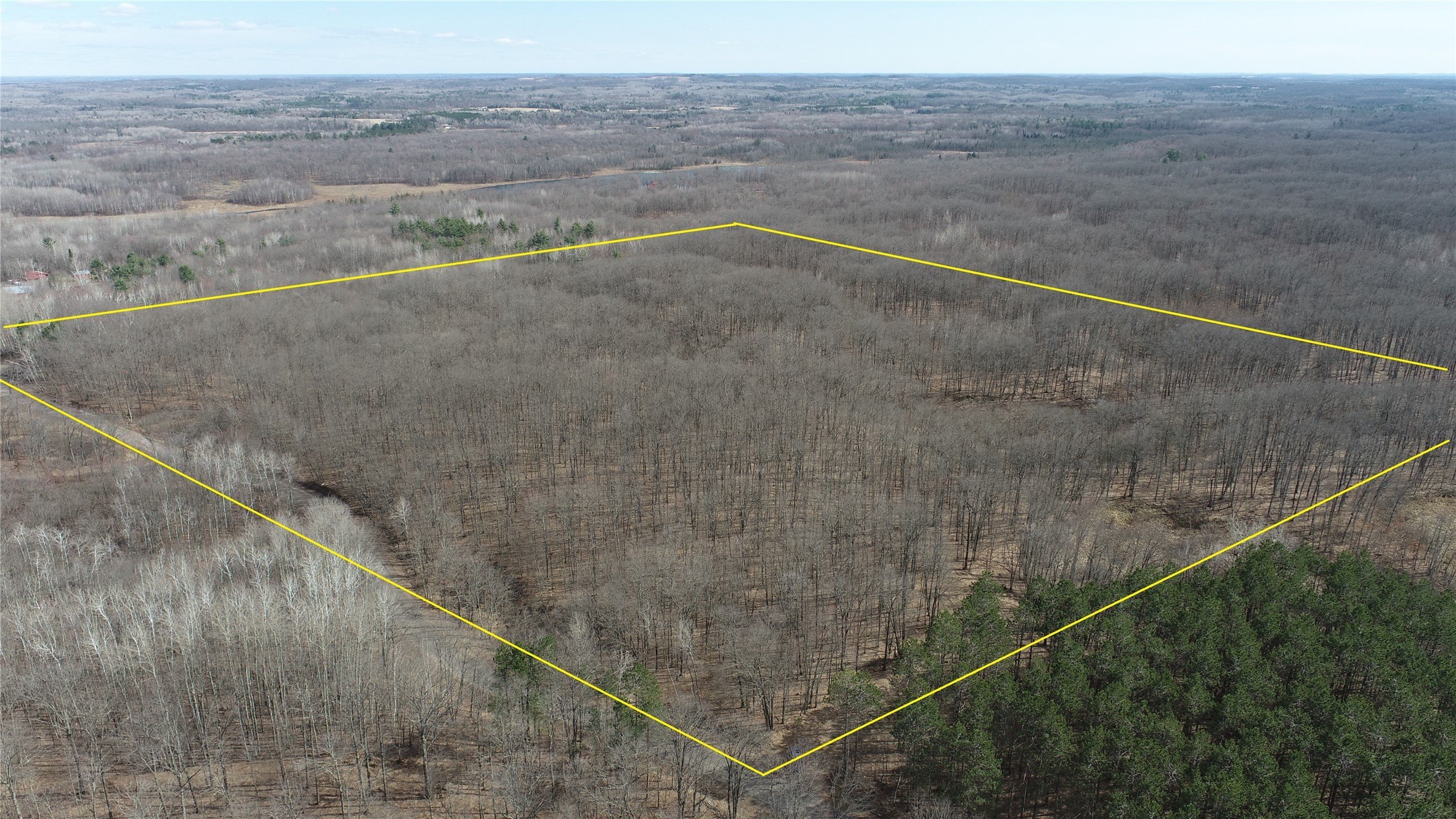 Chippewa County Wooded 40-Acre Parcel