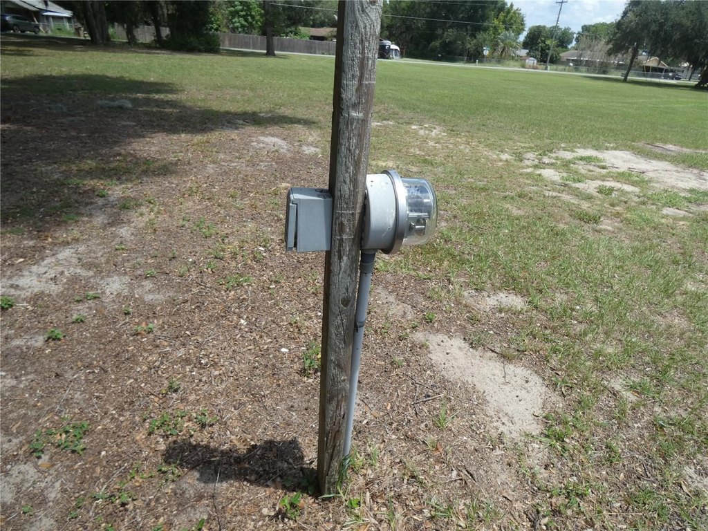 Picture 8