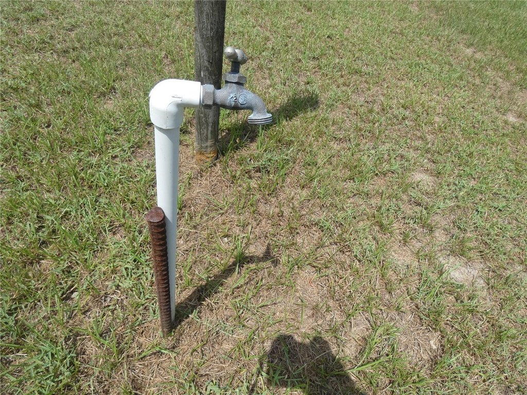 Picture 13