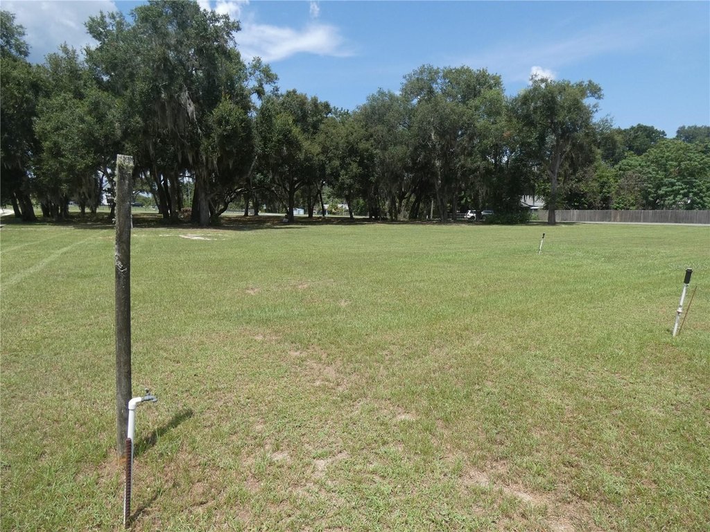 Picture 14