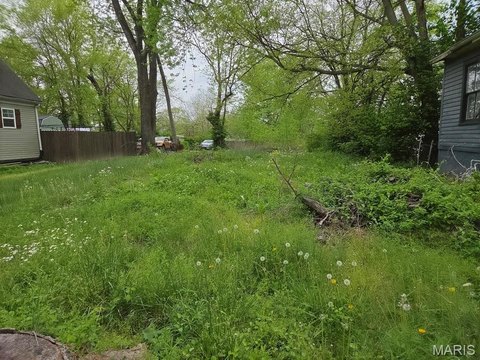 Cape Girardeau Vacant Lot