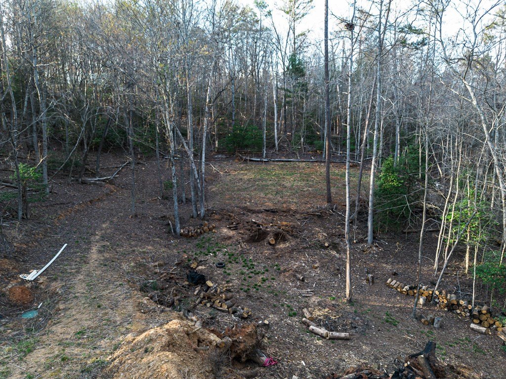 Picture 16