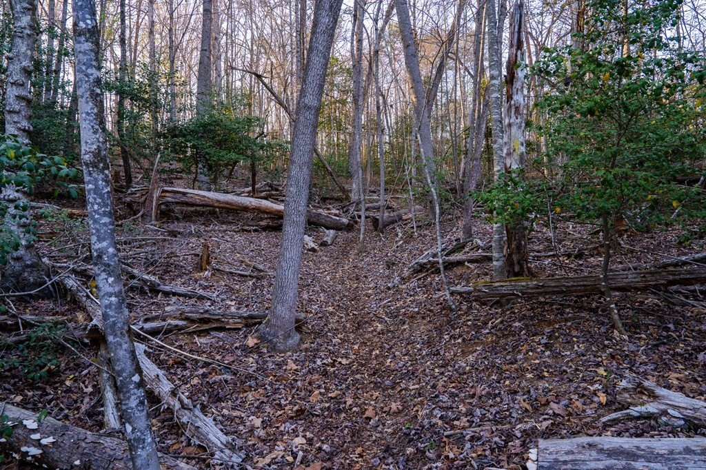 Picture 31