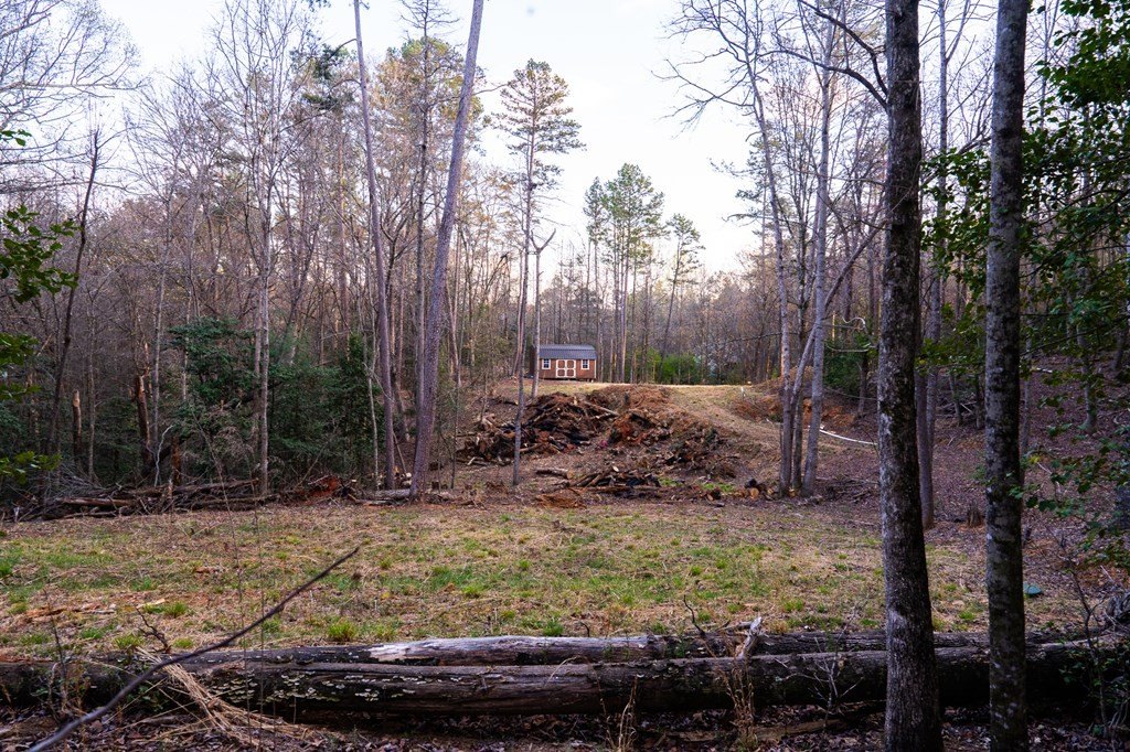 Picture 29