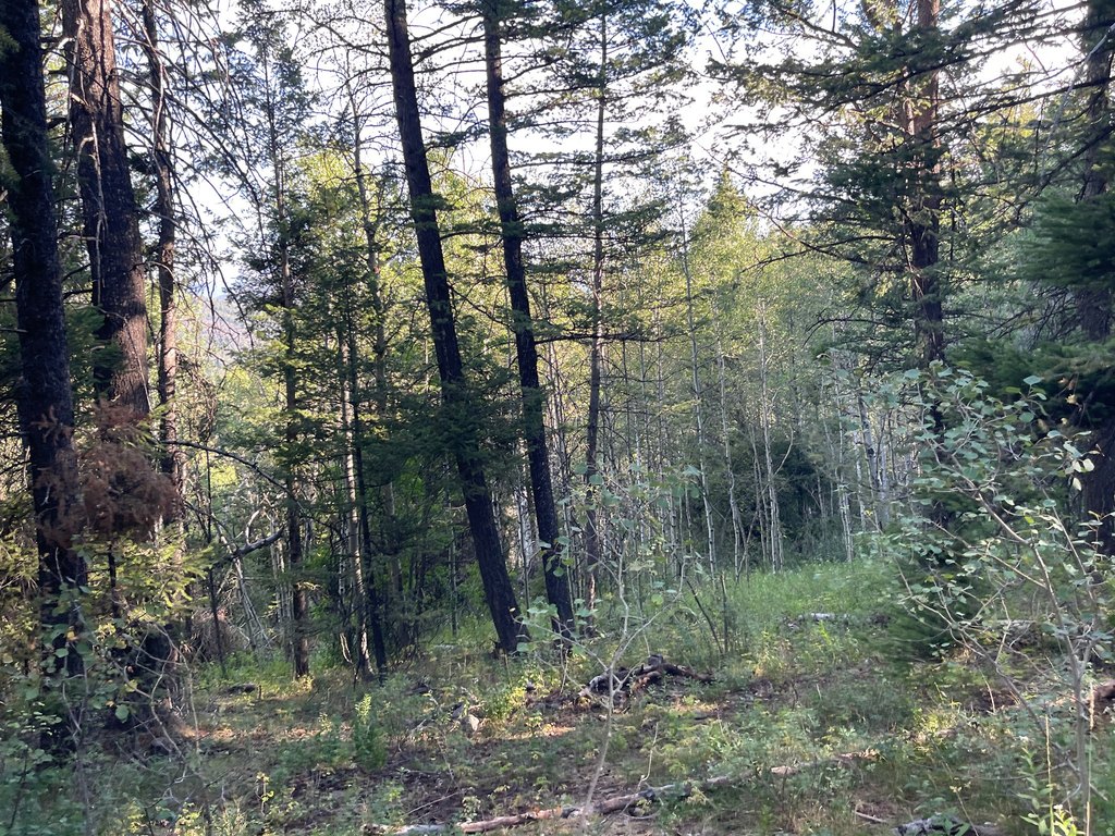 Picture 18