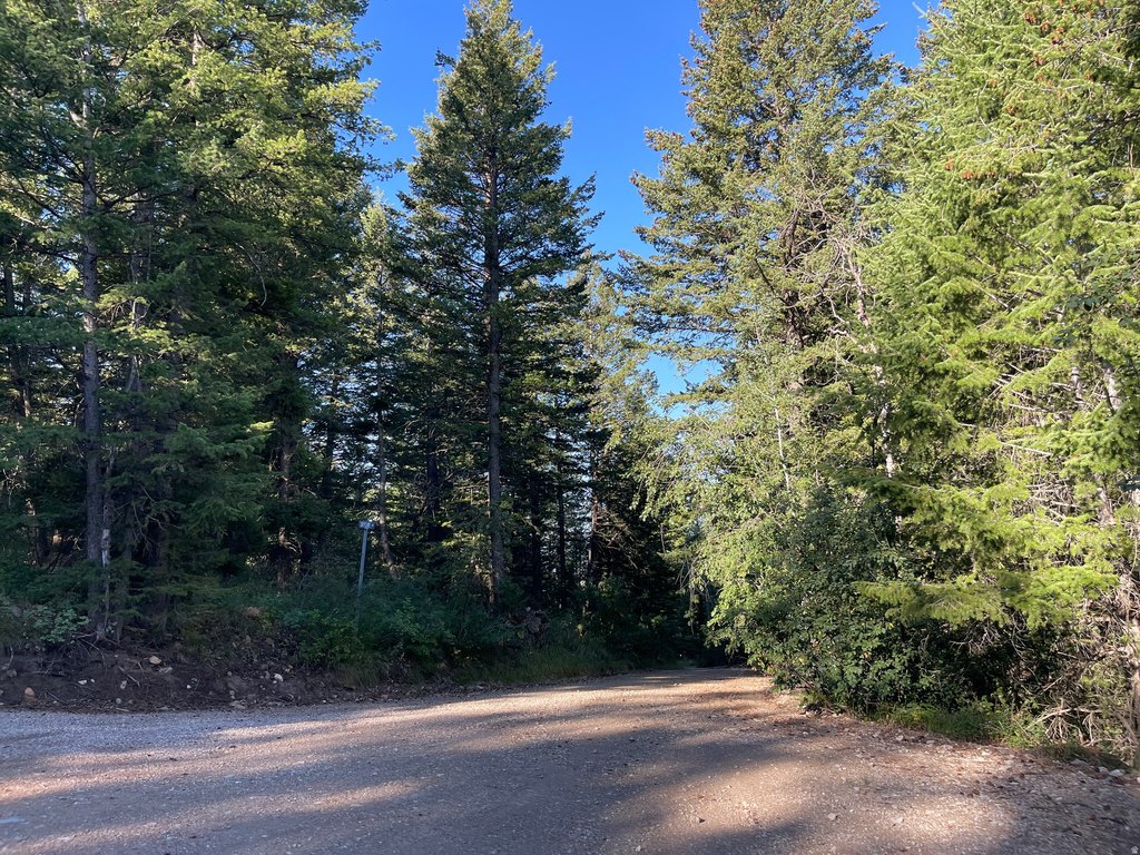 Picture 25