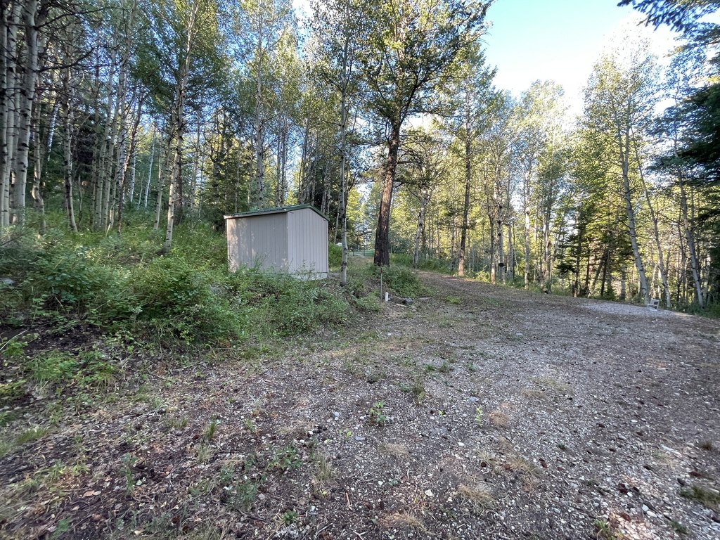 Picture 20