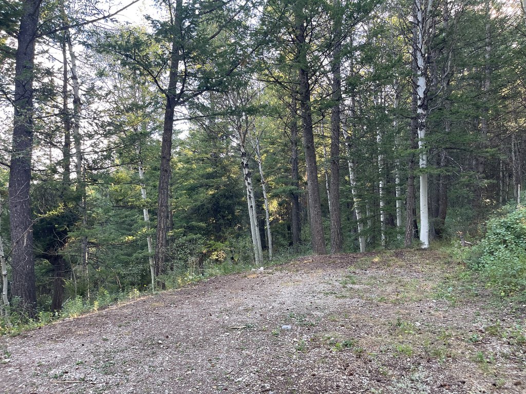 Picture 15