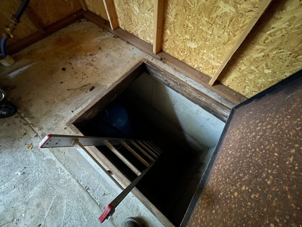 Picture 11
