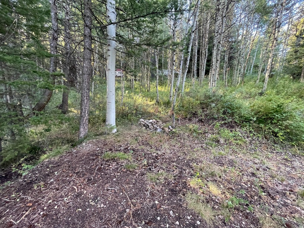 Picture 21