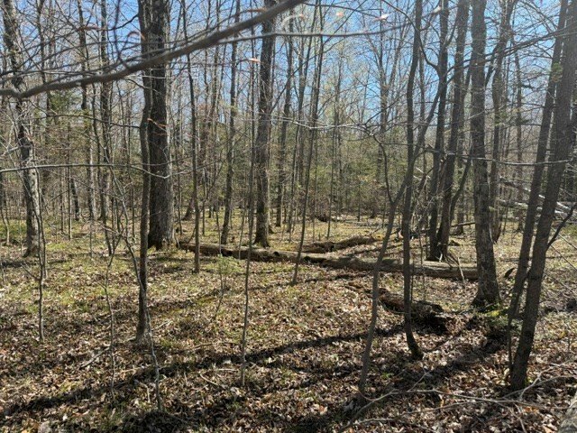 Picture 14