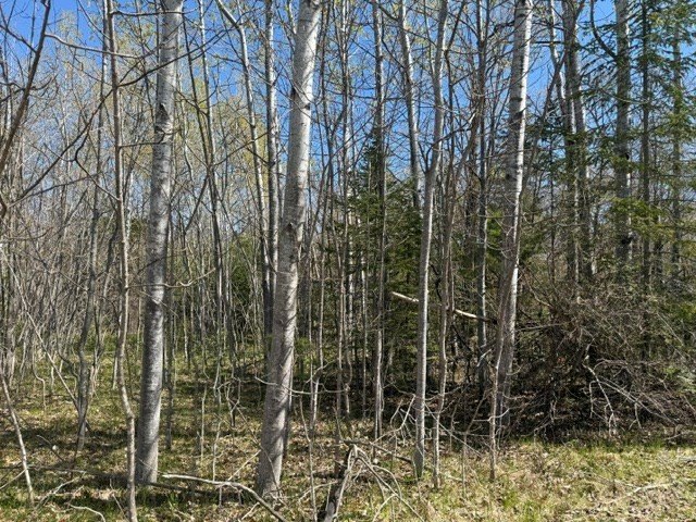 Picture 16