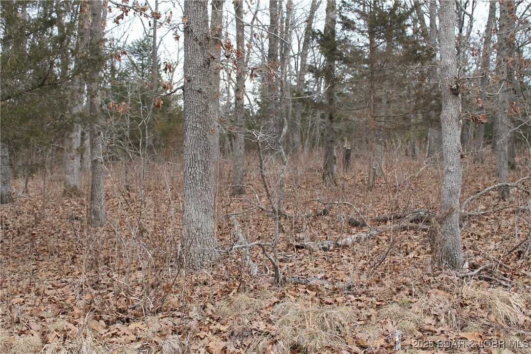 Edwards, MO 2.65-Acre Retreat