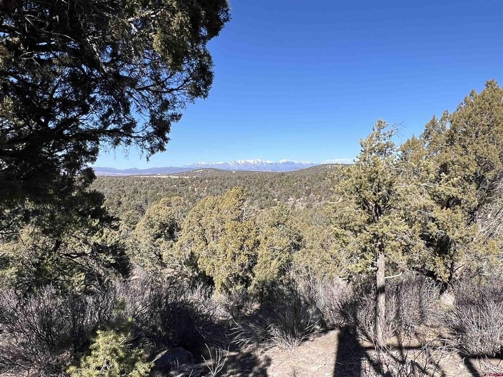 Ignacio, CO Land For Sale