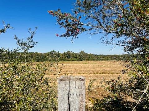 Bonifay Land on Highway 2