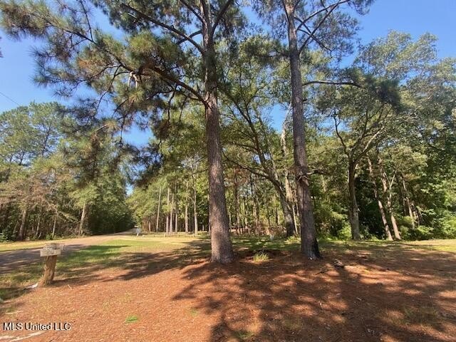 Wooded Acres Near State Line